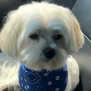 Meet your Posher, Kody